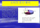 나뚜르(Natuur) 마케팅 전략 7페이지