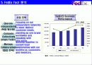[기업 분석] 국내 특송사업 진출 기업 - UPS, DHL, FedEx, TNT 분석 8페이지