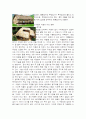 전통건축 한옥 8페이지