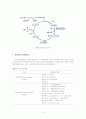5대 영양소 분석[탄수화물, 지방, 단백질, 비타민, Mineral] 5페이지