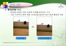 사진 잘 찍는 방법 11페이지