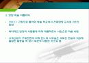 르꼬르뷔제의 일대기 9페이지