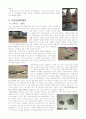 김해박물관을 다녀와서..(2005년, 가야문화의 보고, 수로왕릉 등 다수의 문화재) 3페이지