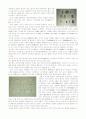 김해박물관을 다녀와서..(2005년, 가야문화의 보고, 수로왕릉 등 다수의 문화재) 4페이지