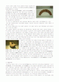 김해박물관을 다녀와서..(2005년, 가야문화의 보고, 수로왕릉 등 다수의 문화재) 9페이지