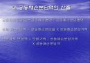 공동해손 및 구조에 대한 프리젠테이션 14페이지