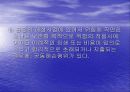 공동해손 및 구조에 대한 프리젠테이션 23페이지