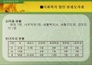 저소득 한부모 가정에 대한 이해 25페이지