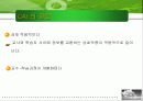 컴퓨터의 교육적활용(CAI) 4페이지