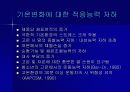 청소년 비만과 운동요법 13페이지