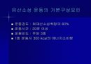 청소년 비만과 운동요법 40페이지