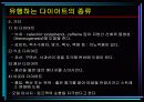 비만 식이요법 허와 실 14페이지