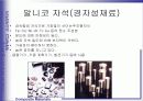 자성재료 20페이지