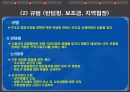 DDA 협상의 주요쟁점 및 우리의 대응방안 11페이지
