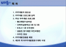 국내 우주개발 현황 및 전망 2페이지