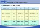 국내 우주개발 현황 및 전망 13페이지