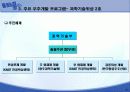 국내 우주개발 현황 및 전망 21페이지