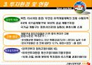 신흥시장투자론-기림성 9페이지