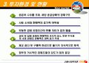 신흥시장투자론-기림성 12페이지