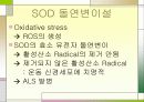 MND(Lou Gehrig’s disease -근위축성 측삭 경화증-) 7페이지