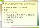 MND(Lou Gehrig’s disease -근위축성 측삭 경화증-) 8페이지