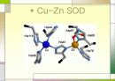 MND(Lou Gehrig’s disease -근위축성 측삭 경화증-) 9페이지