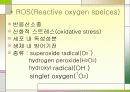 MND(Lou Gehrig’s disease -근위축성 측삭 경화증-) 11페이지