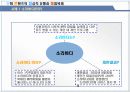 문화콘텐츠의 정상적 유통과 불법복제 33페이지