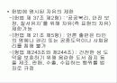 영상의 볼권리와 검열의 요청의 대립 26페이지