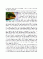 생물의 세계 - 학술제 감상문 3페이지