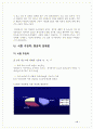 한-칠레 FTA 반대 보고서 21페이지