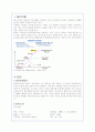 보아의 성공 글로벌 마케팅 전략(A+레포트) 2페이지