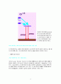 빛과 레이저 17페이지