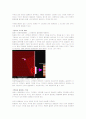 빛의 양자론 37페이지