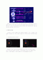 [레이저 과학]레이저의 원리와 종류 공진과 응용 및 레이저광선과 빛의 차이 7페이지