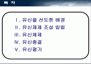 제 4공화국 유신체제 2페이지