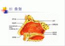 구급법(간단한 응급처치) 11페이지
