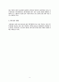 한성항공 마케팅 전략 기획서 5페이지