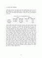 한성항공 마케팅 전략 기획서 14페이지