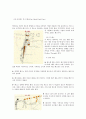 농구의 역사와 기본기술 10페이지