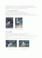 볼링의 역사와 게임방법 15페이지