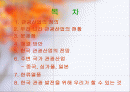한국관광산업의 발전방향 2페이지