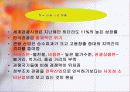 한국관광산업의 발전방향 4페이지