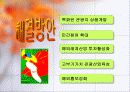 한국관광산업의 발전방향 10페이지