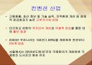 한국관광산업의 발전방향 12페이지