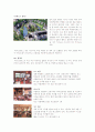 하우스텐보 스(HUIS TEN BOSCH) 13페이지