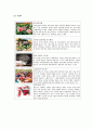 하우스텐보 스(HUIS TEN BOSCH) 15페이지