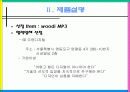woodi(MP3)사업계획서 6페이지