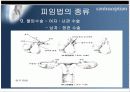  피임의 모든것!!  [피임에 관한 모든것(시장,제품,경향,설문조사,피임법등등)을 정리했습니다.] 32페이지