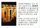 근대 한국의 매춘 2페이지